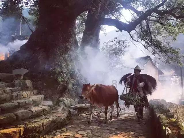 太极拳高手深圳过招展风采