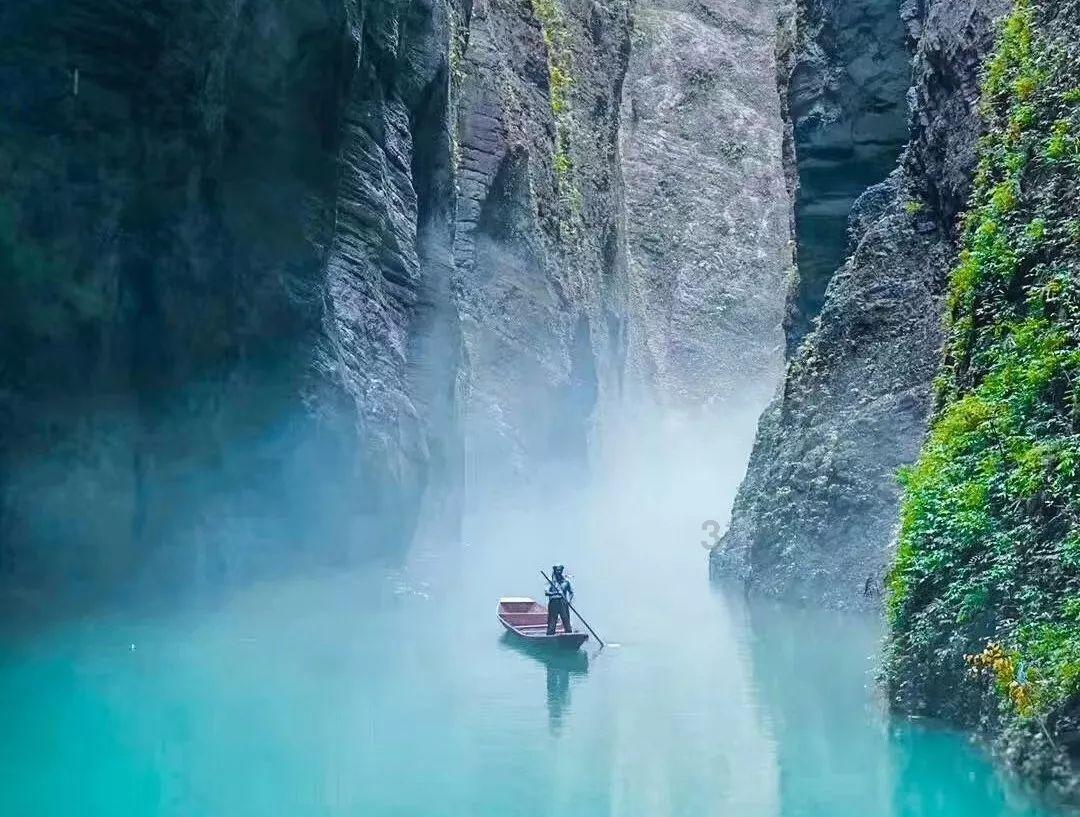 救援贪玩的大象