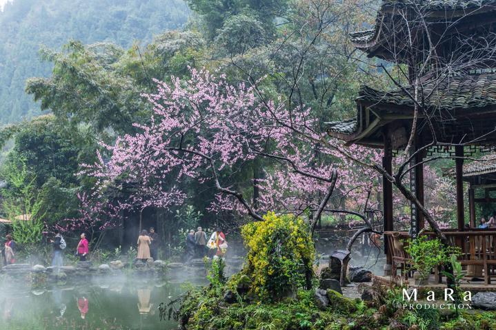 华东粮油交易市场获评南方小麦交易市场“2023年度优秀合作市场”
