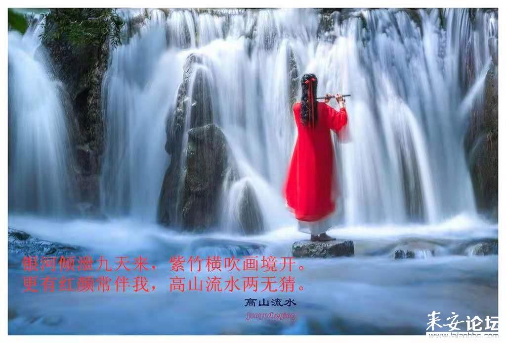 特种突击聪明的顺溜