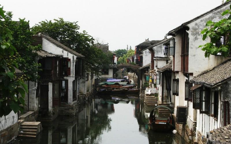 地黄的市场价格、地黄的产地分布、地黄的加工炮制